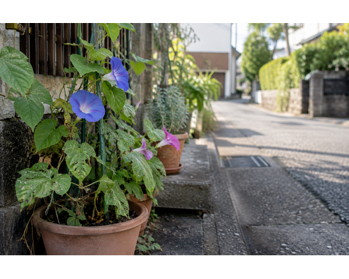 いつもの街にも、小さな発見。
