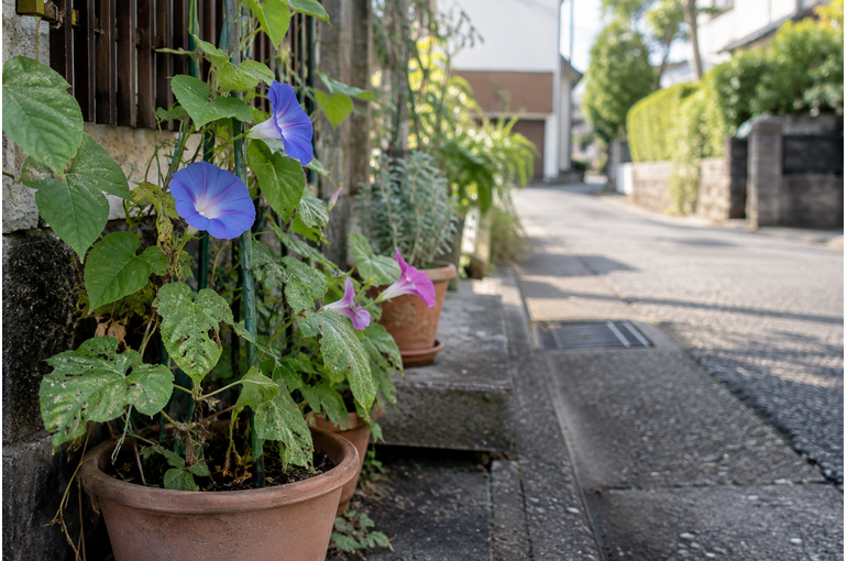 いつもの街にも、小さな発見。